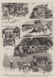 Coaching in Ceylon, incidenten van een reis naar het binnenland